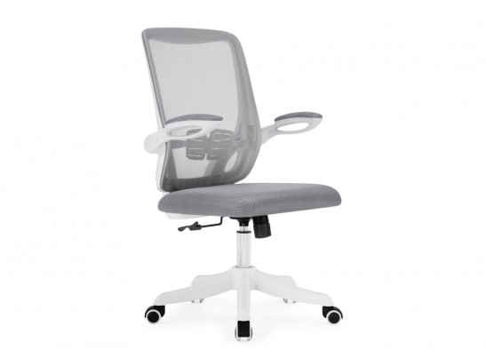 Компьютерное кресло Salem gray / white
