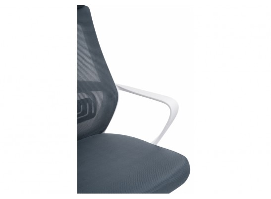 Компьютерное кресло Golem dark gray / white