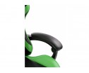 Компьютерное кресло Rodas black / green