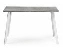 Стол Тринити Лофт 120х60х75 25 мм бетон / белый матовый