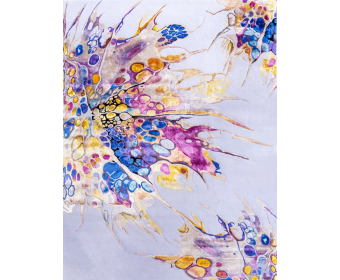 Китайский ковёр шерстяной PRISMATIC N 168 x 226 