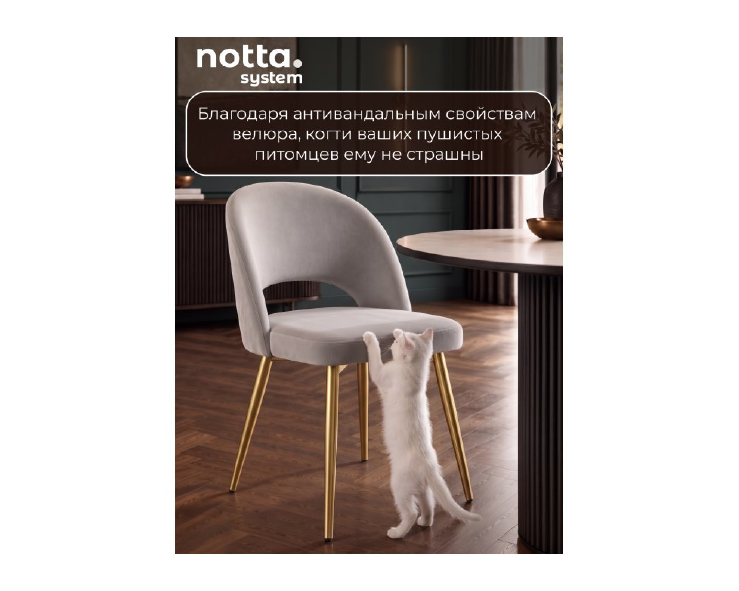 Стул на металлокаркасе Курбис светло-серый (zd 960) / золотой