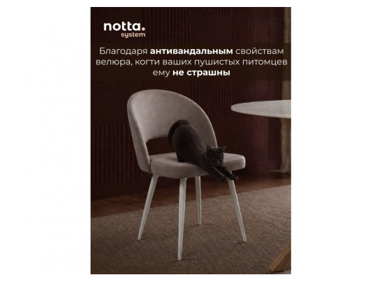 Стул на металлокаркасе Курбис латте (zd 290) / белый