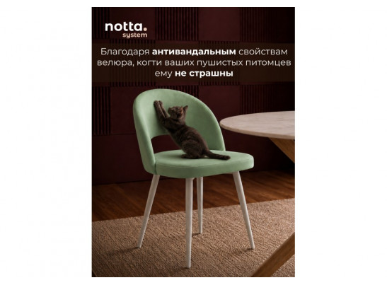 Стул на металлокаркасе Курбис фисташковый (zd 651) / белый