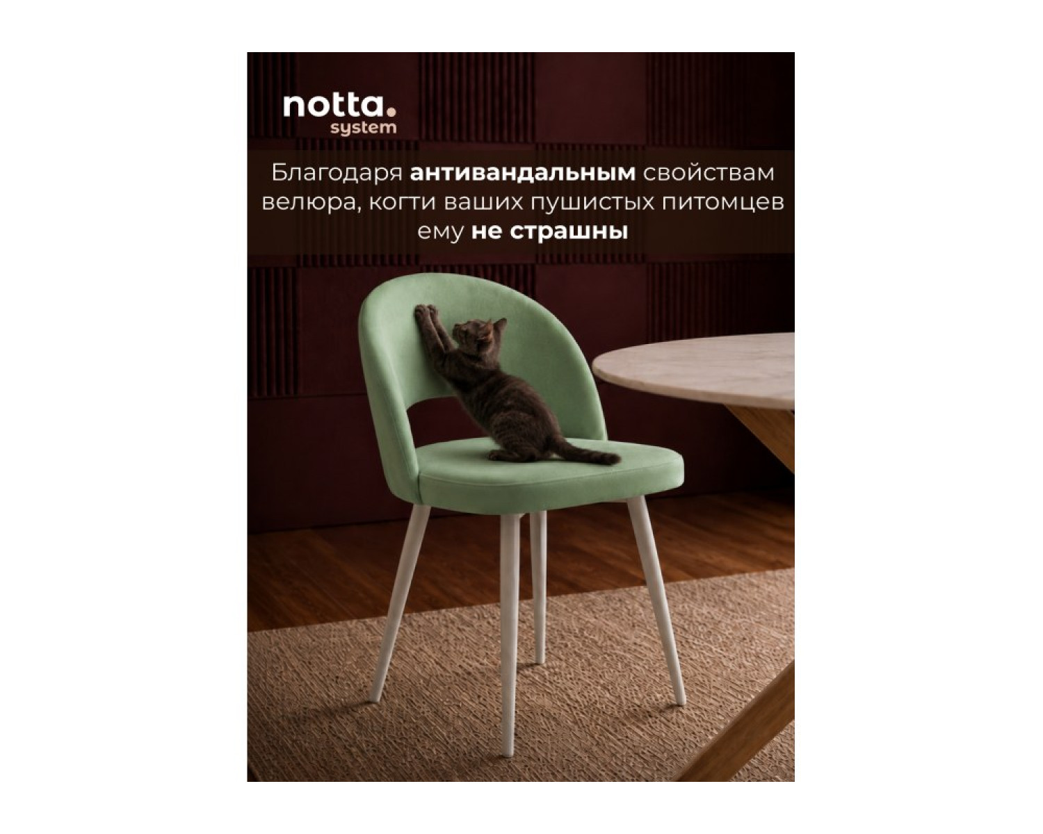 Стул на металлокаркасе Курбис 360 фисташковый (zd 651) / белый